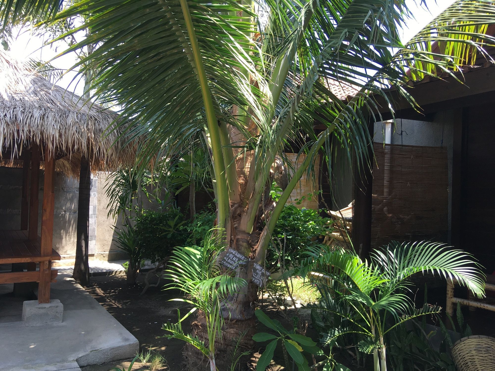 Alexyane Paradise Bungalow Gili Trawangan Eksteriør bilde